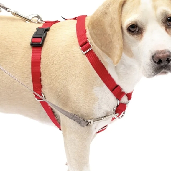 Harness and leash lot, 2 red adjustable quick harnesses, leash, Velcro vest Sz S - Picture 11 of 12